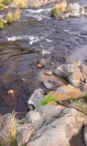 dirty water flowing2