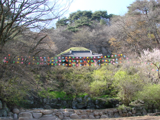 ▲석굴암 전경, 토함산을 올라 주차장에서 십 여분 걸으면 언덕 위에 석굴암이 보인다. 멀리서는 목조건물만 보일 뿐이다.