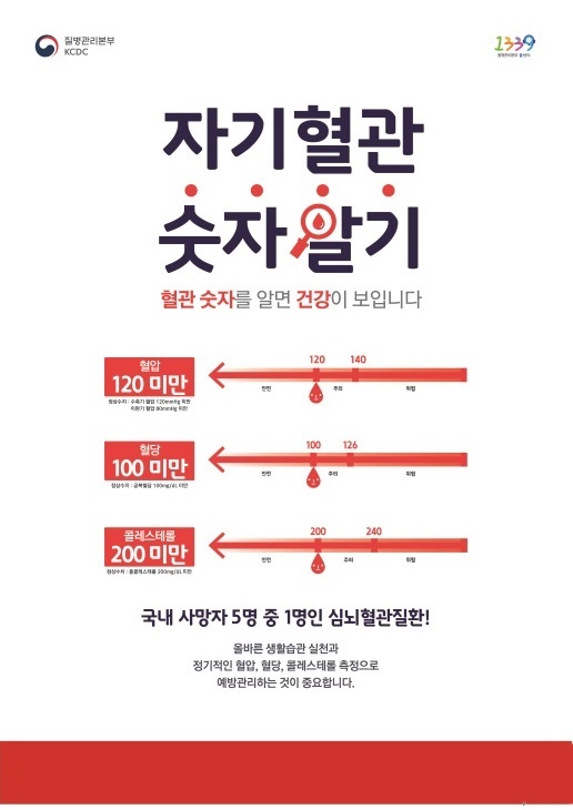 자기 혈관 숫자 알기