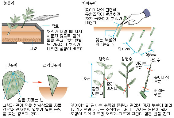 이미지를 클릭하시면 창이 닫힙니다