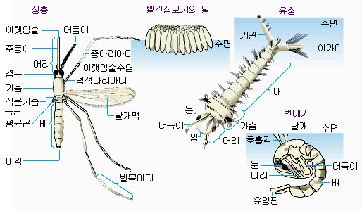 이미지를 클릭하시면 창이 닫힙니다