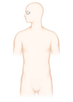 눈