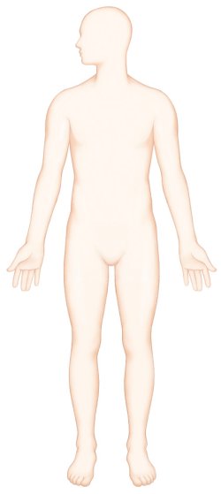 뇌, 폐, 눈, 혈액, 전해질, 면역력, 장관 등 모든 신체기관