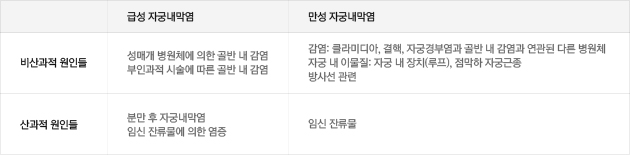 자궁내막염의 원인에 따른 분류