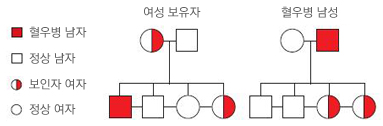 혈우병의 유전