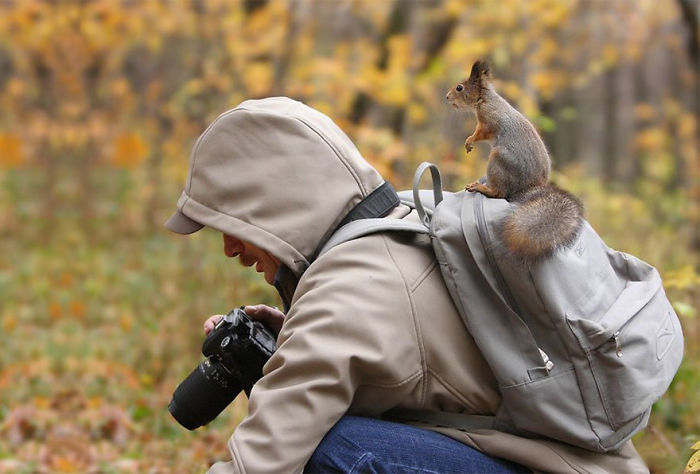 Wildlife Photographers