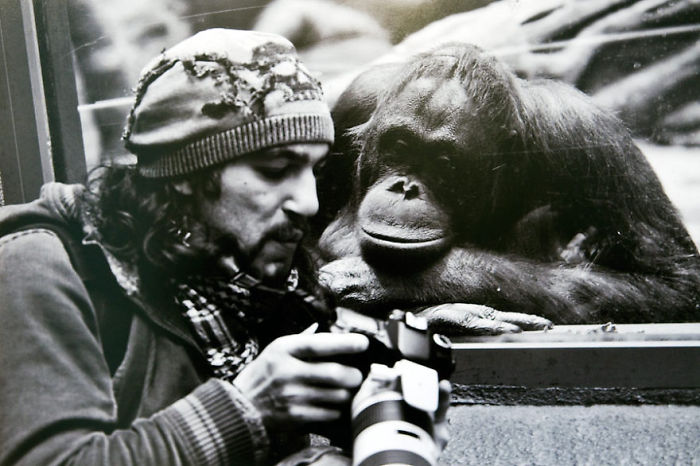 Nature Photographer