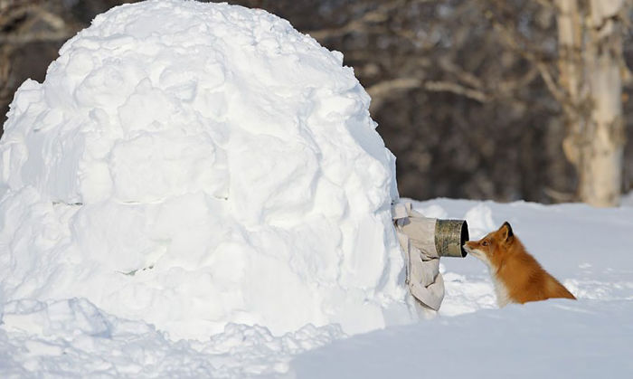 Nature Photographer