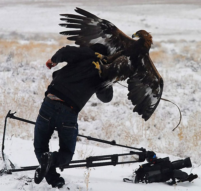 Nature Photographer