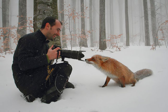 Nature Photographer