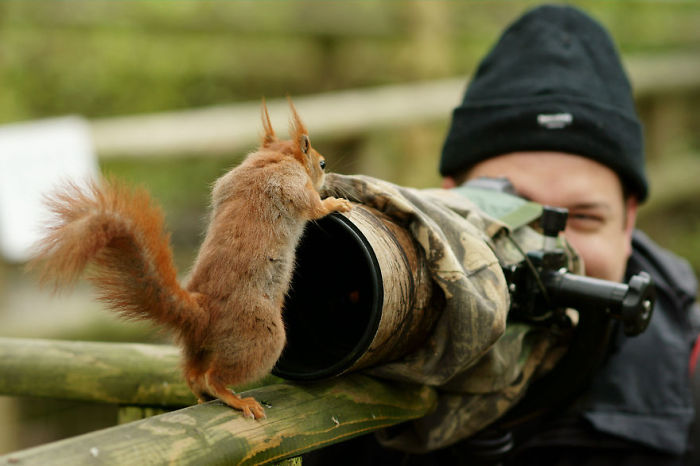 Nature Photographer