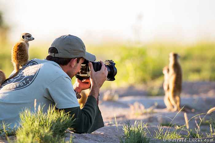 Nature Photographer