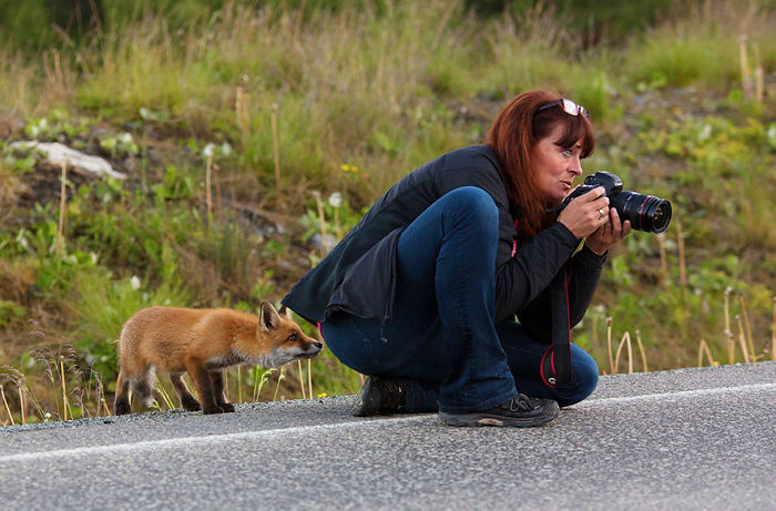 Nature Photographer