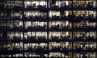 Office Workers
