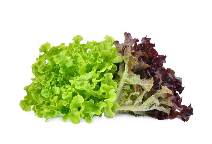 찝찝한 과일·채소 잔류농약, 말끔하게