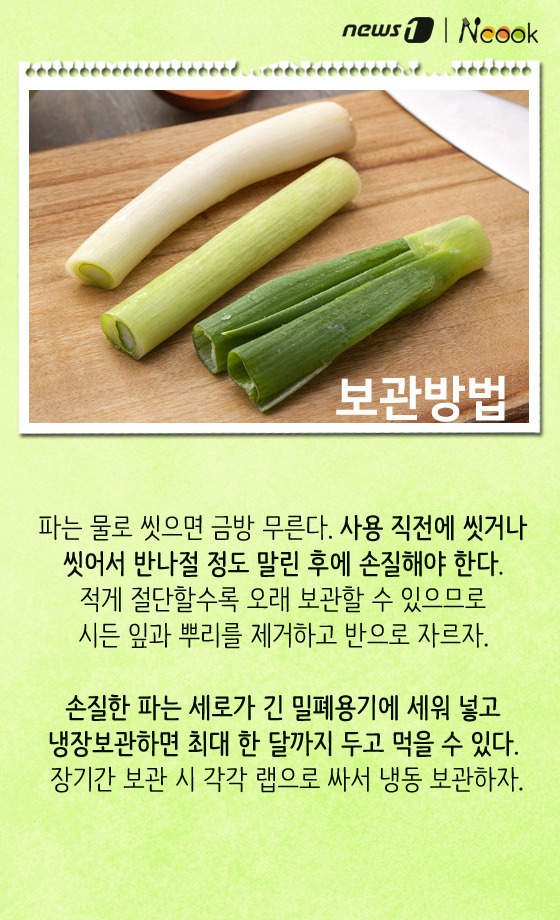 파 이미지