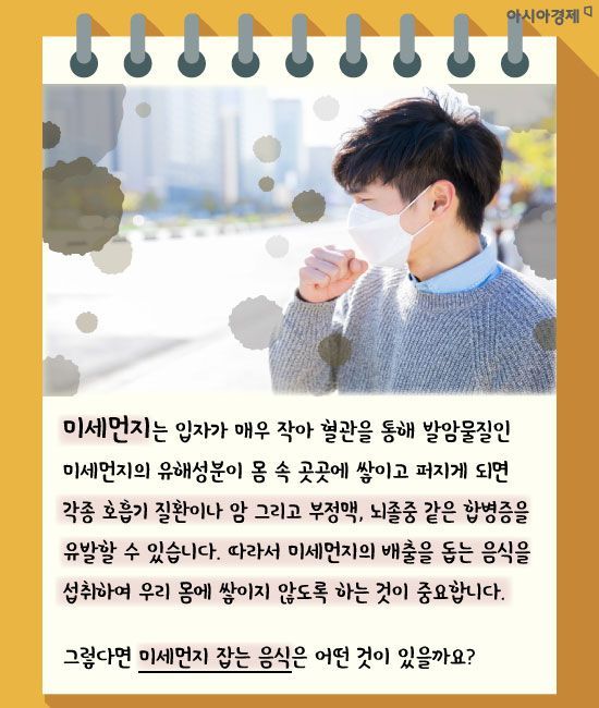 미세먼지 심한 날, 먹으면 좋은 음식
