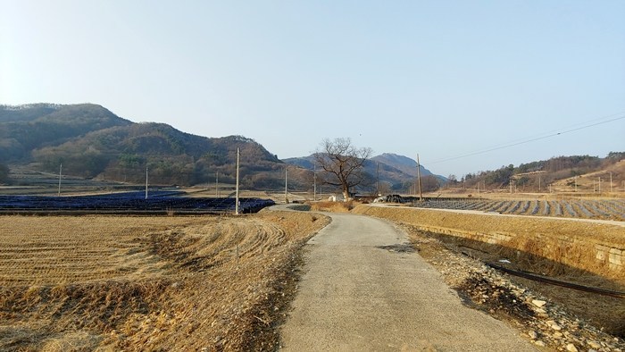 고원레저 이미지