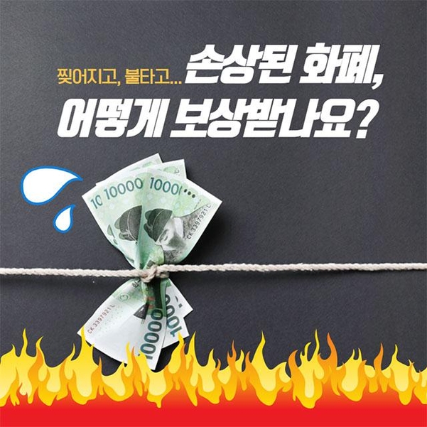 조선일보