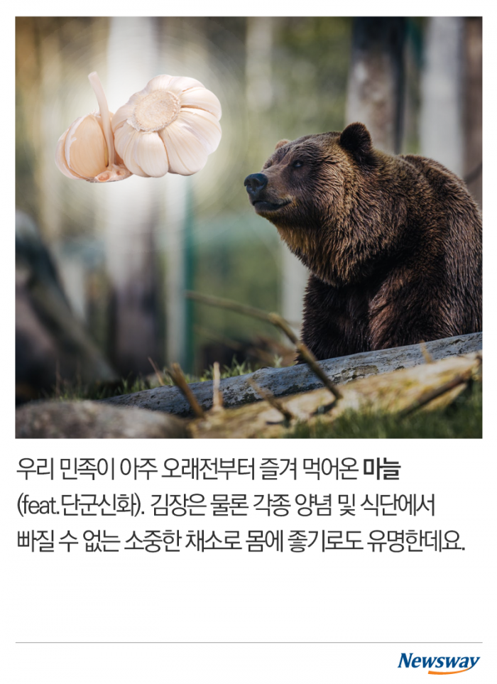 뉴스웨이