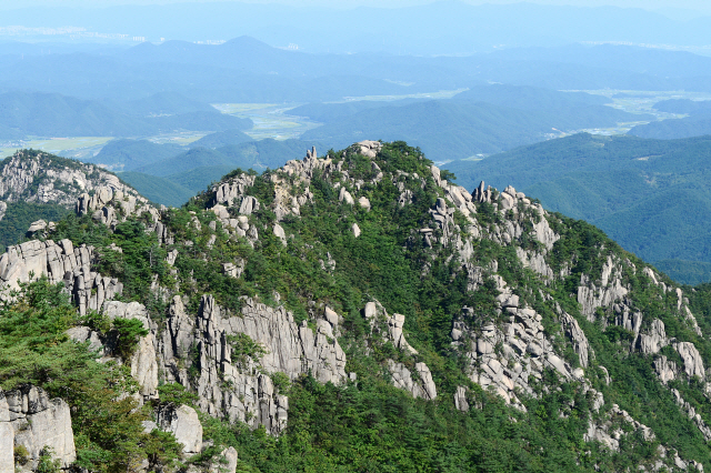 서울경제