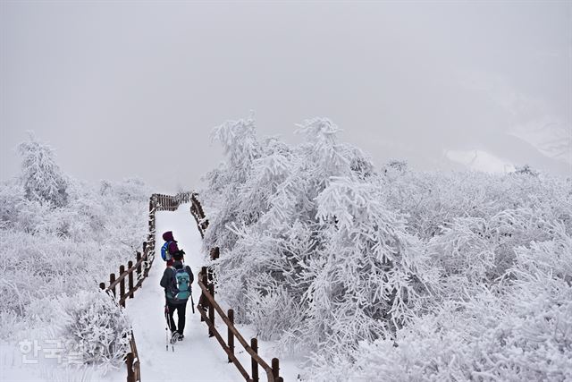 한국일보