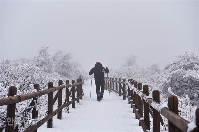 한국일보