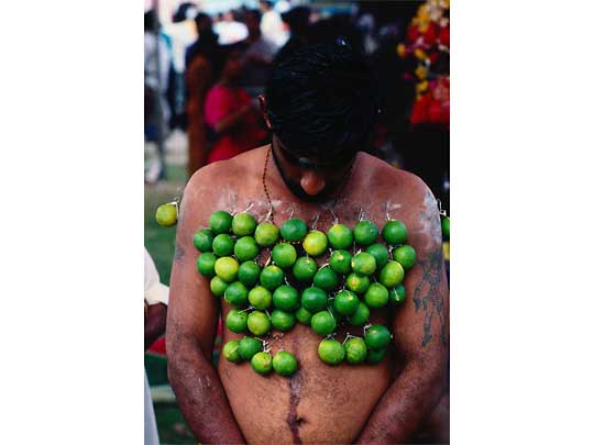  Man with limes attached, at Hindu Festival of Thaipusam