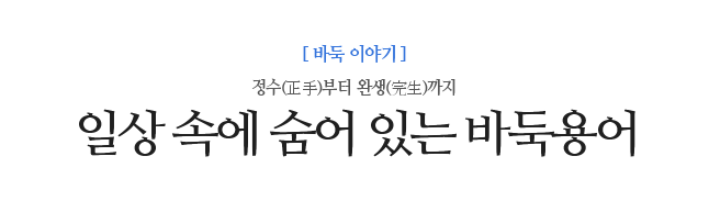 일상 속에 숨어 있는 바둑용어 정수(正手)부터 완생(完生)까지