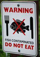 fish-consumption-warning