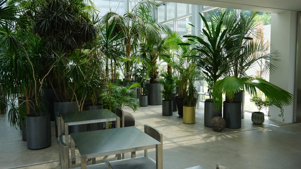 대화와 쉼이 오가는 공간14