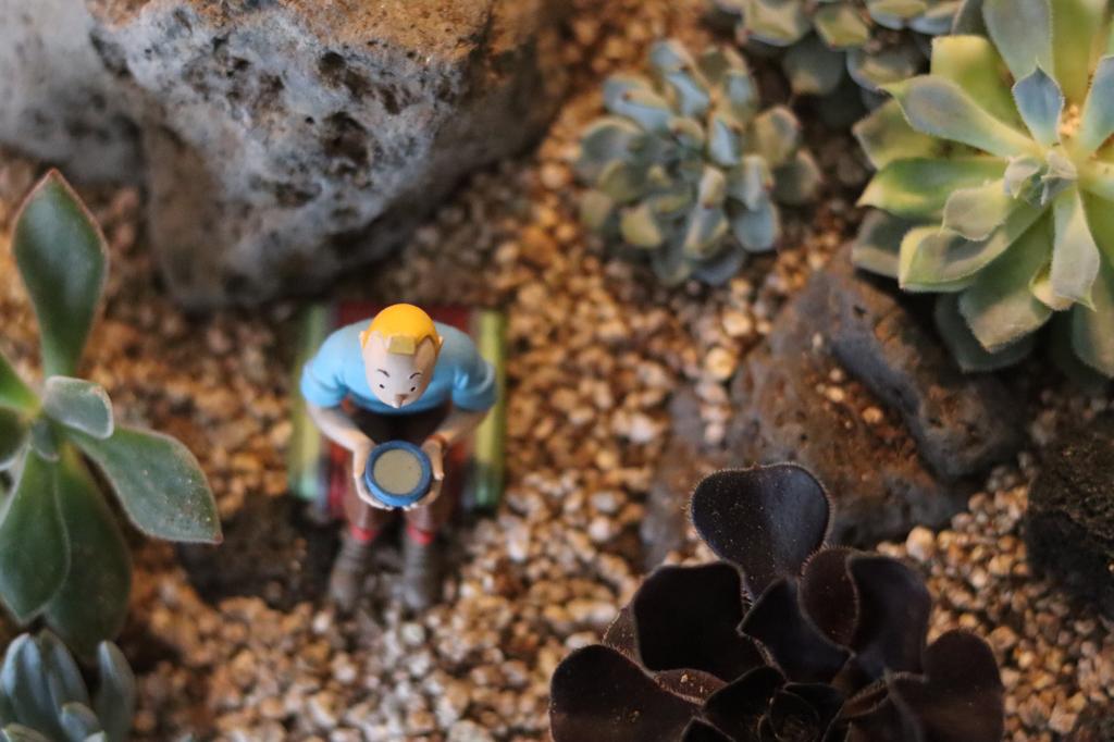 마음이 동할 땐 고향으로, 용인 원삼면10