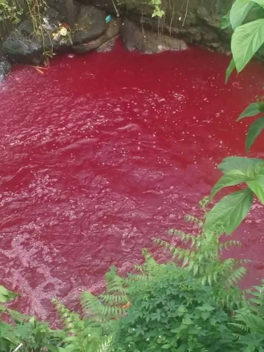 blood red river, blood red river video, blood red river picture, blood red river indonesia august 2017, blood red river indonesia august 2017 video, blood red river indonesia august 2017 picture