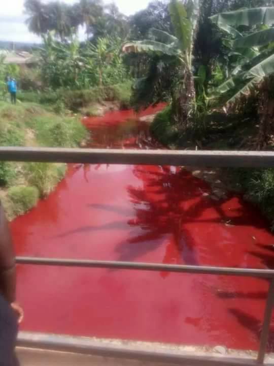 River in Ghana turns blood red overnight, River in Ghana turns blood red overnight video, River in Ghana turns blood red overnight pictures