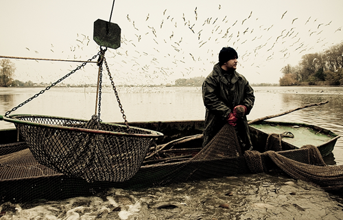 Awesome Examples Of Documentary Photography Awesome Examples Of Documentary Photography