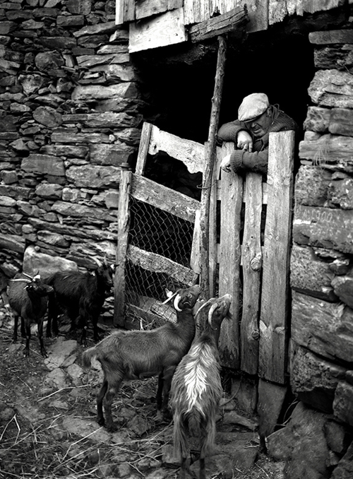 Awesome Examples Of Documentary Photography Awesome Examples Of Documentary Photography