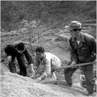 국토건설 요원 사방공사