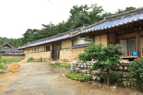 성주 한개마을 (돌담길)