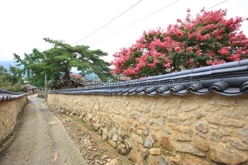 성주 한개마을 (돌담길)