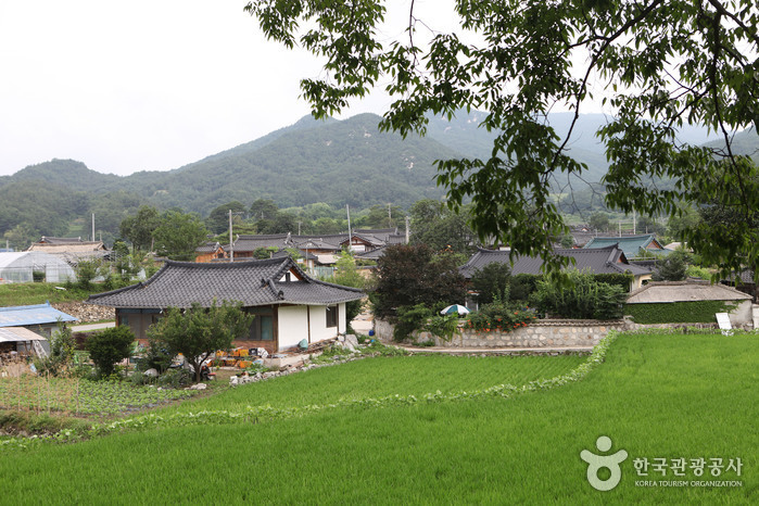 황산전통한옥마을