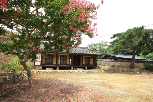 성주 한개마을 (돌담길)