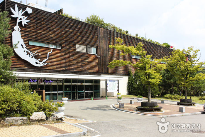 진안홍삼스파 입구 외관