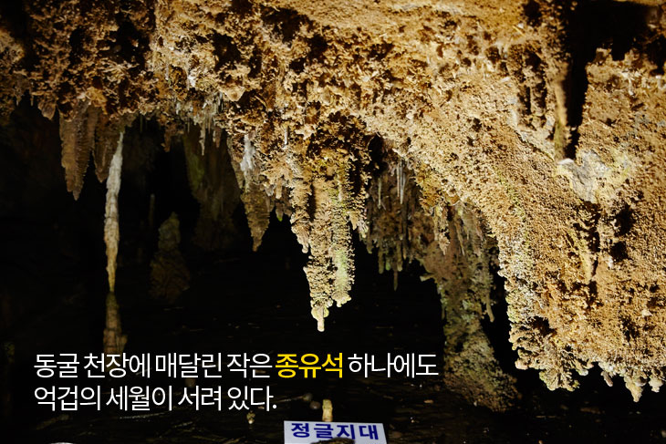 동굴 천장에 매달린 작은 종유석 하나에도 억겁의 세월이 서려 있다.