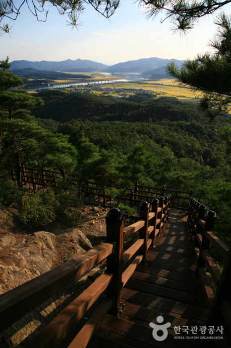 낙동리 방면 목재 데크에서 본 풍경