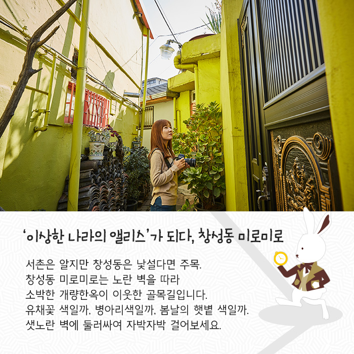 ‘이상한 나라의 앨리스’가 되다, 창성동 미로미로