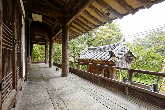 반구대팜스테이_집청정_외관및전경