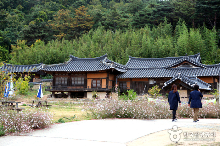 삼벽당으로 가는 길