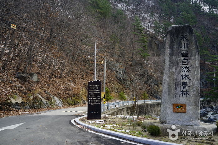 국립 미천골자연휴양림 사진4