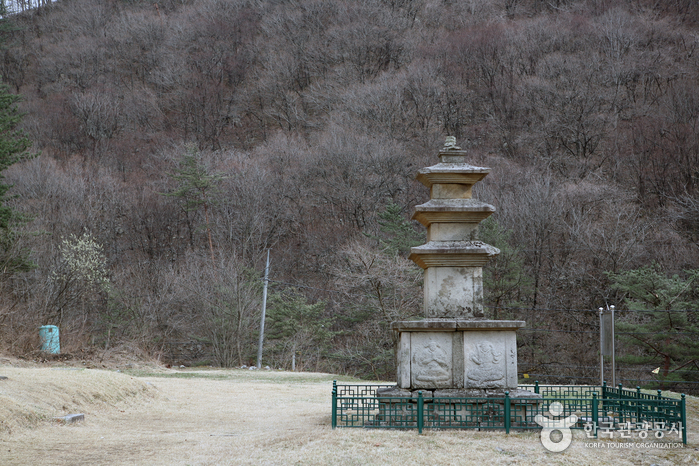국립 미천골자연휴양림 사진6
