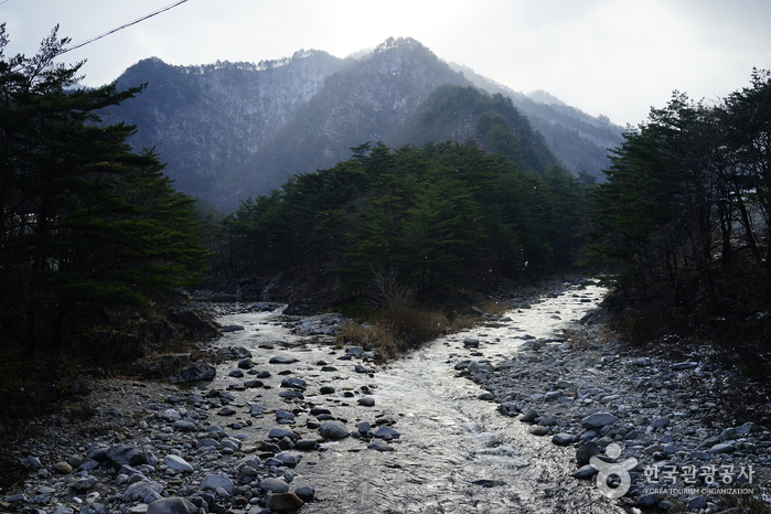 국립 미천골자연휴양림 사진5